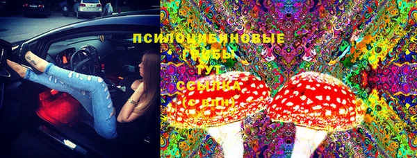 дмт Нягань