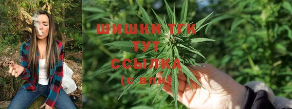 кокаин Болотное