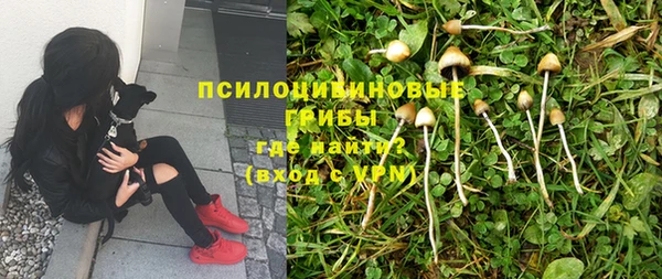 не бодяженный Болохово