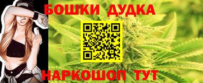 индика Моздок