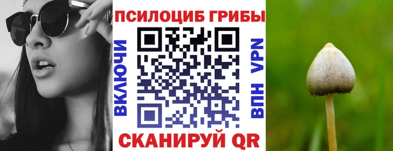 цены наркотик  Коркино  Галлюциногенные грибы GOLDEN TEACHER 
