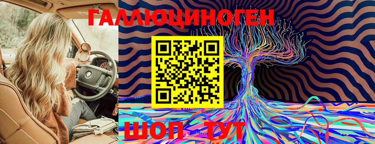 Галлюциногенные грибы мухоморы  Коркино  Галлюциногенные грибы Psilocybine cubensis 