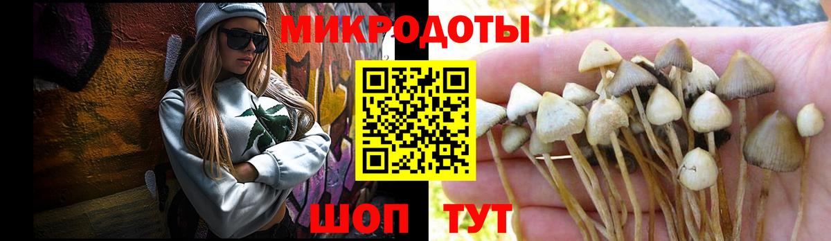 Коркино  Псилоцибиновые грибы прущие грибы  Галлюциногенные грибы Magic Shrooms  Вход с VPN 