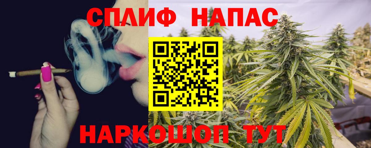 Конопля план Коркино